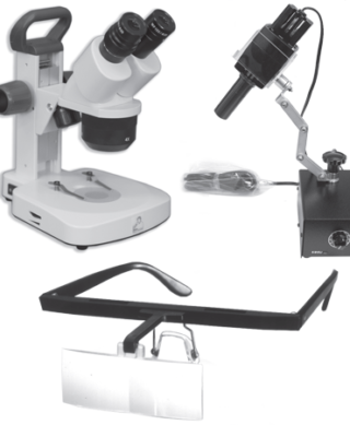 Dissection of the Donor Area