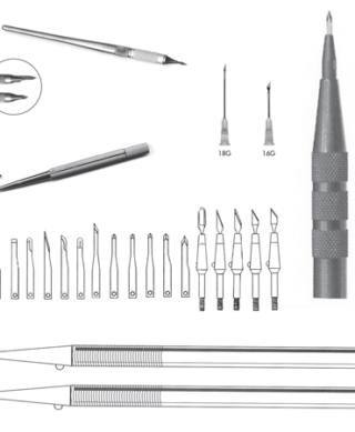 Formation of Recipient Sites